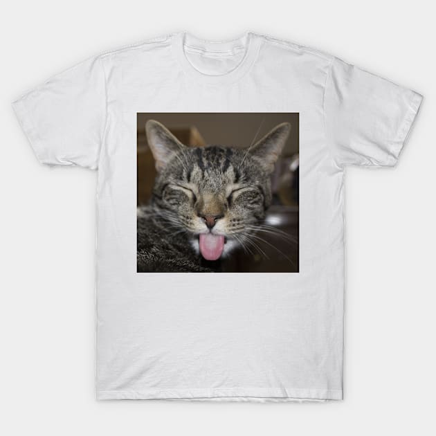 Senpai Cat T-Shirt by thememerepo